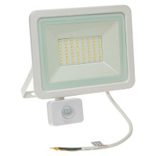 LED strålkastare för utomhusbruk med en sensor NOCTIS LUX 2 LED/50W/230V 4000K IP44 vit