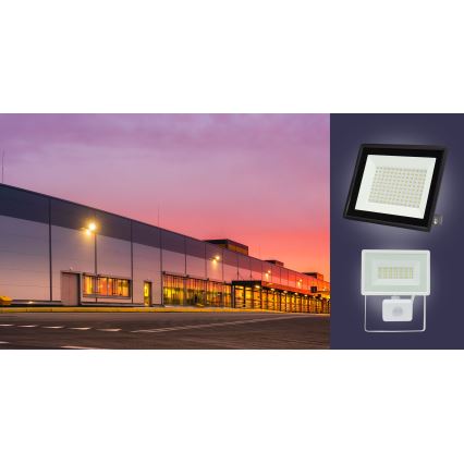 LED strålkastare för utomhusbruk NOCTIS LUX 3 LED/30W/230V 3000K IP65 vit