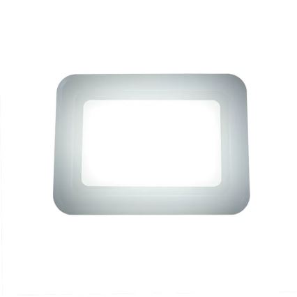 LED Strålkastare LED/50W/230V 4000K IP65