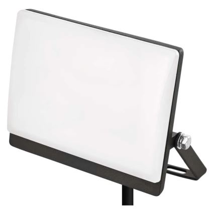 LED-strålkastare TAMBO EVO LED/20W/230V 4000K IP65 svart
