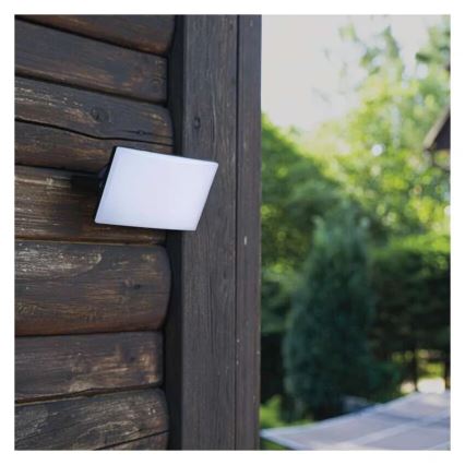 LED strålkastare TAMBO LED/10W/230V 4000K IP65