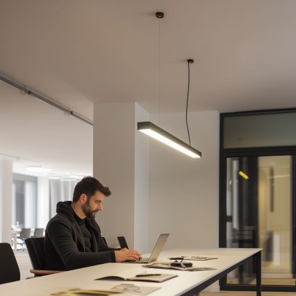 LED Tak fäst Pendellampa CYNIDECO LED/30W/230V 4000K svart