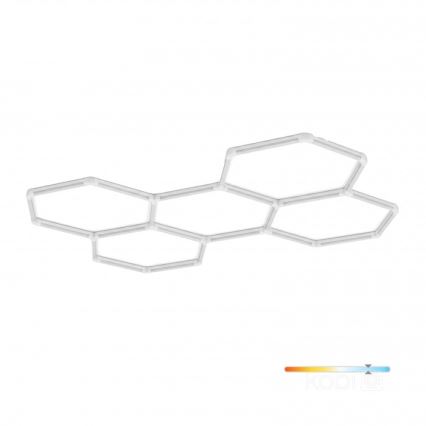 LED takarmatur HEXLINE LED/216W/230V 6500K 208x300 cm vit