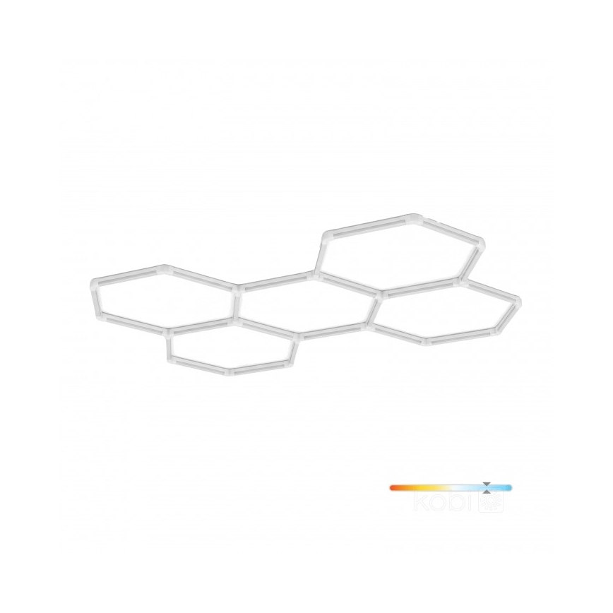 LED takarmatur HEXLINE LED/216W/230V 6500K 208x300 cm vit