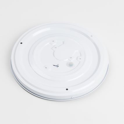 LED-takarmatur LED/12W/230V Ø 32 cm grå/silver