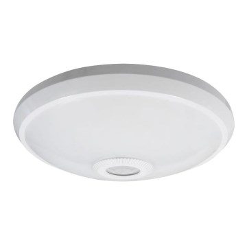 LED takarmatur med rörelse- och skymningssensor LED/12W/230V