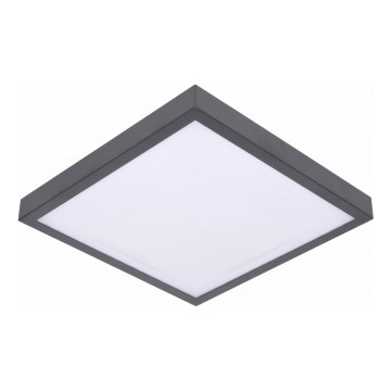 LED-takarmatur med rörelse- och skymningssensor VITALI LED/24W/230V 4000K 33x33 cm antracit