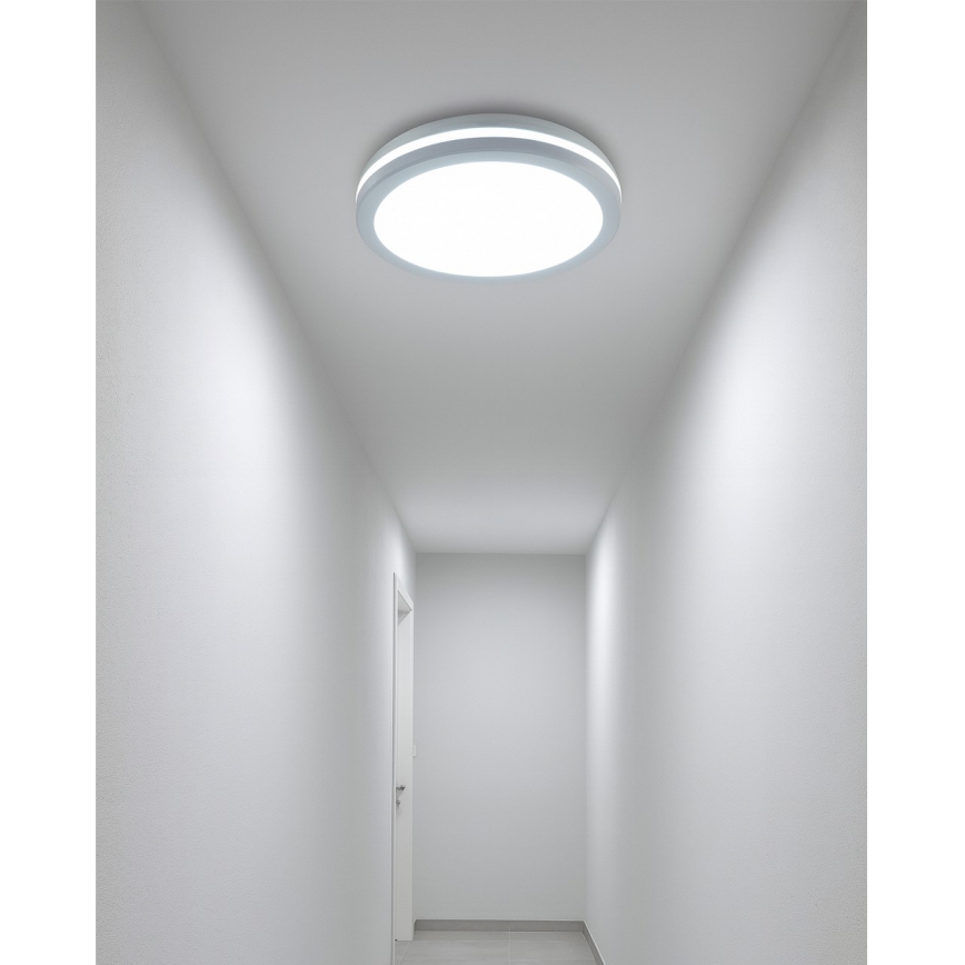 LED taklampa för badrum med rörelsesensor LED/20W/230V 3000/4000/6500K Ø 23 cm IP54 vit