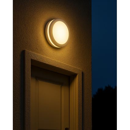 LED taklampa för badrum med rörelsesensor LED/20W/230V 3000/4000/6500K Ø 23 cm IP54 vit