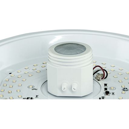LED takarmatur med rörelse- och skymningssensor samt nödbelysningsmodul MANA LED/12W/230V 1500 mAh Ø 29 cm vit
