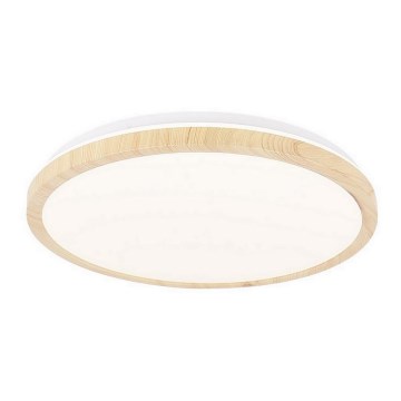 LED Takbelysning GANDAVA LED/24W/230V