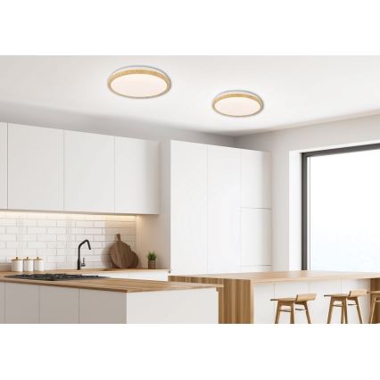 LED Takbelysning GANDAVA LED/24W/230V