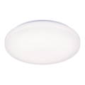 LED Takbelysning OPAL LED/50W/176-264V
