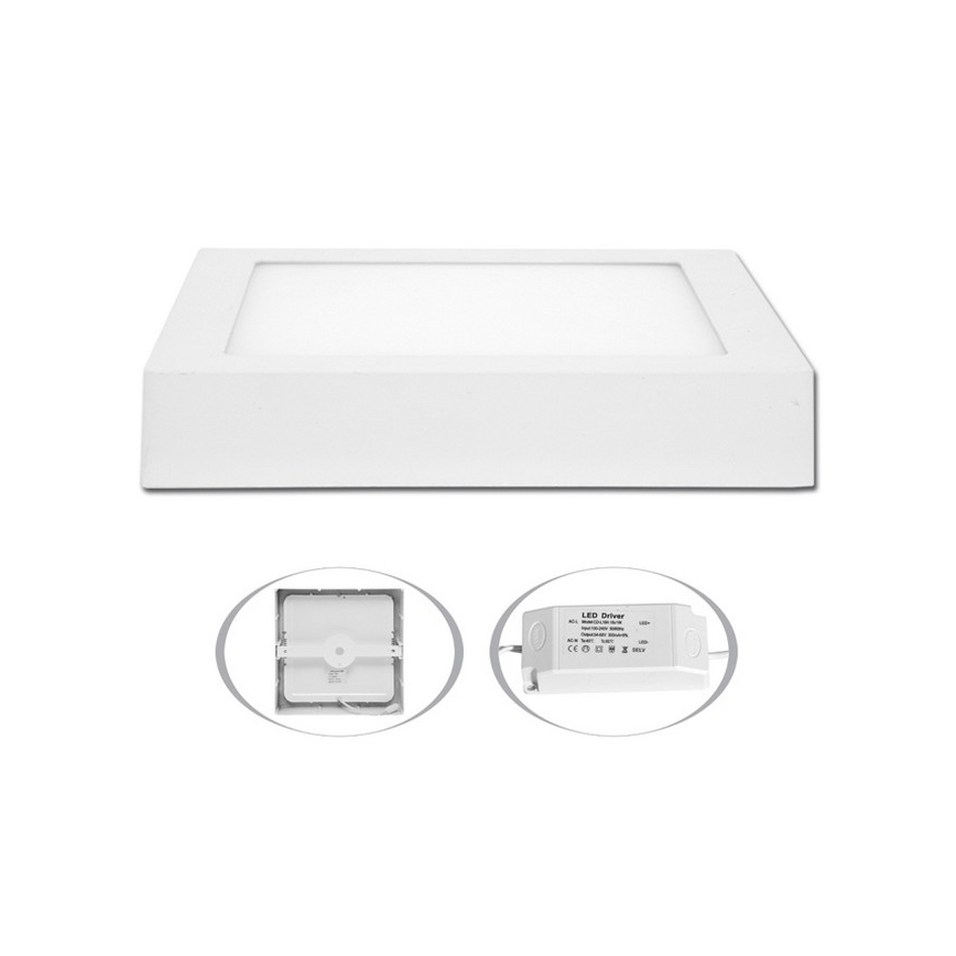 LED Takbelysning RAFA LED/18W/230V 2700K