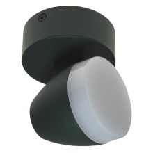LED Takbelysning SURMUR LED/6W/230V grön