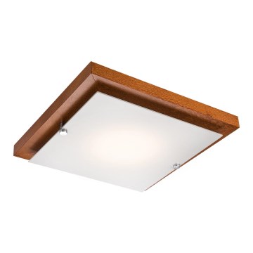 LED-taklampa 12W/230V, furuutförande