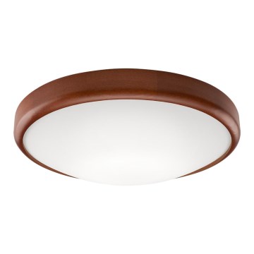 LED Taklampa 1xLED/24W/230V