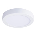LED-taklampa 24W/230V 3000/4000/6000K Ø 30 cm vit