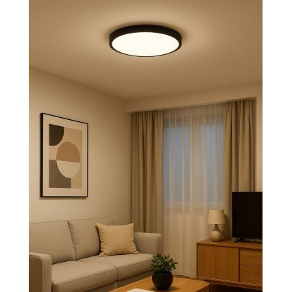 LED-taklampa 32 W/230 V 3000/4000/6500 K Ø 40 cm svart