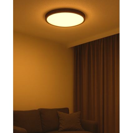 LED-taklampa, 40 W, 230 V — växbar färgtemperatur 3000/4000/6500 K, Ø 50 cm, brun