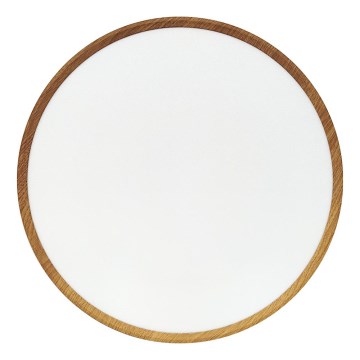 LED-taklampa 40W/230V 3000/4000/6500K Ø 50 cm beige