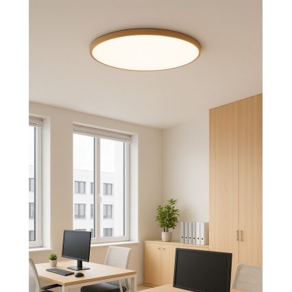 LED-taklampa 40W/230V 3000/4000/6500K Ø 50 cm beige