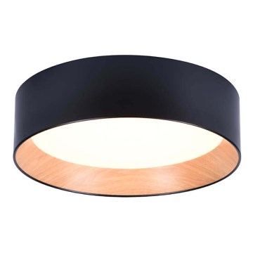 LED Taklampa ARENA LED/43W/230V