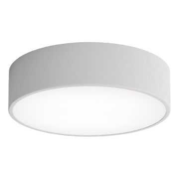 LED Taklampa CLEO LED/24W/230V 4000K Ø 30 cm grå