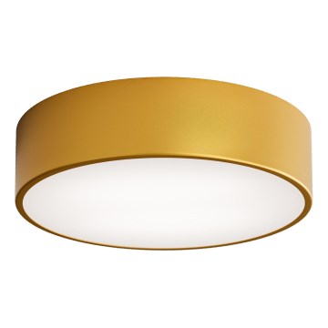 LED Taklampa CLEO LED/24W/230V 4000K Ø 30 cm guld