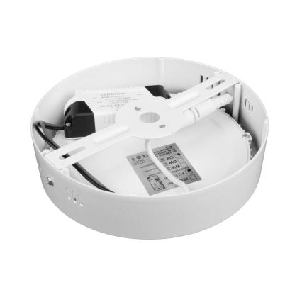 LED taklampa DIEGO LED/12W/230V 4000K IP40 Ø 16,5 cm vit