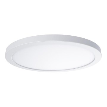 LED-taklampa EVORA LED/24W/230V 3000/4000/6000K Ø30 cm vit
