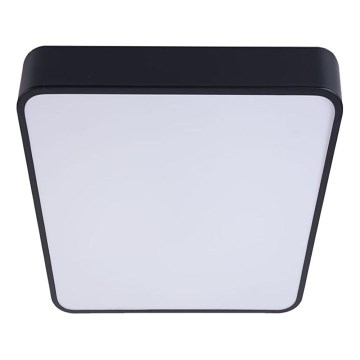 LED taklampa FELIZ LED/50W/230V 4000K 40x60 cm svart