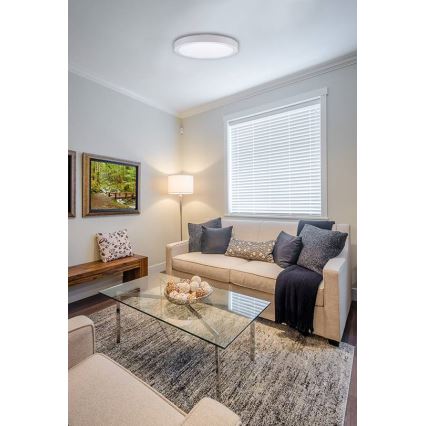 LED taklampa FENIX LED/12W/230V 2800K diameter 17 cm