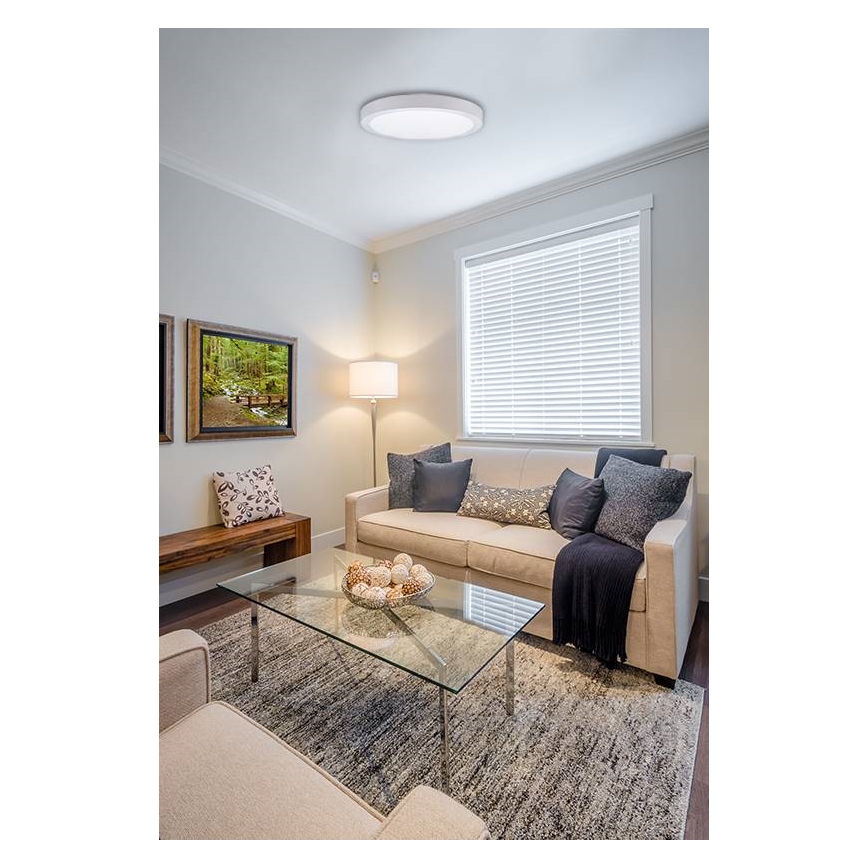 LED taklampa FENIX LED/12W/230V 2800K diameter 17 cm