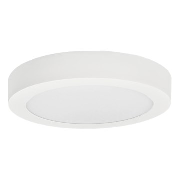 LED taklampa FENIX LED/12W/230V 2900/3900/5800K diameter 16,8 cm vit
