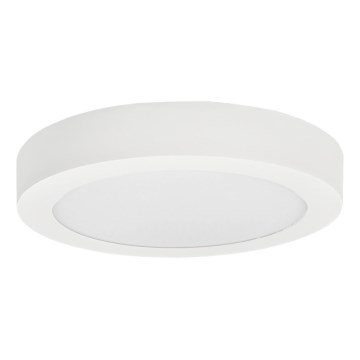 LED taklampa FENIX LED/24W/230V 3800K diameter 29,8 cm snö vit
