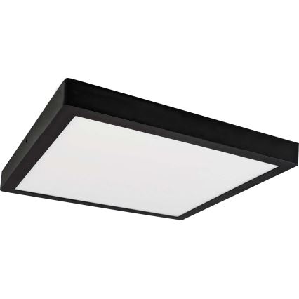 LED taklampa FENIX LED/32W/230V 3800K 40 cm