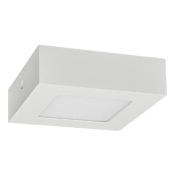 LED taklampa FENIX LED/6W/230V 2800K 12 cm