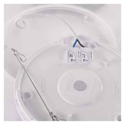 LED taklampa FLORI LED/18W/230V 4000K svart 29x29 cm