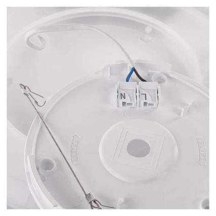 LED taklampa FLORI LED/22W/230V 4000K svart diameter 42 cm