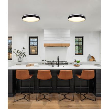 LED taklampa FLORIDA LED/18W/230V svart