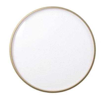 LED taklampa FLORIDA LED/18W/230V svart