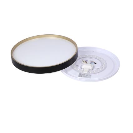 LED taklampa FLORIDA LED/18W/230V svart