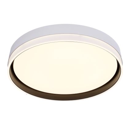 LED taklampa FLORIDA LED/24W/230V vit