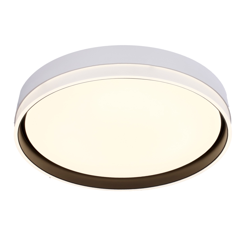 LED taklampa FLORIDA LED/24W/230V vit