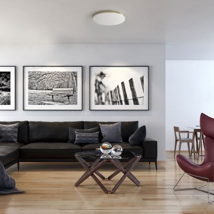 LED taklampa för badrum BEVER LED/10W/230V 4000K diameter 26 cm IP44