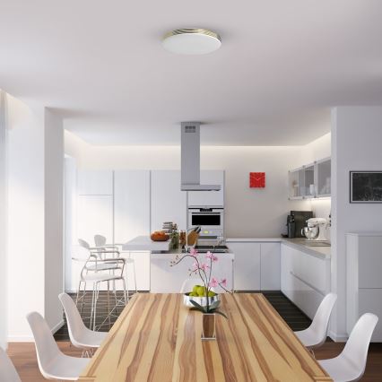 LED taklampa för badrum BEVER LED/10W/230V 4000K diameter 26 cm IP44