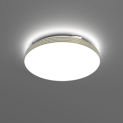 LED taklampa för badrum BEVER LED/10W/230V 4000K diameter 26 cm IP44