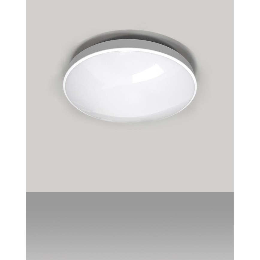 LED taklampa för badrum CIRCLE LED/12W/230V 4000K diameter 25 cm IP44 vit