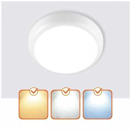 LED takarmatur för badrum DEFENDER LED/12/18/24W/230V 3000/4000/6500K IP65 Ø 30 cm vit